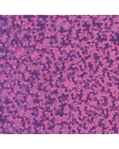 Gimme5 - L738A - CYCLAMEN GLAM
